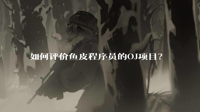 如何评价鱼皮程序员的OJ项目？