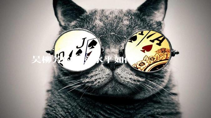 吴柳芳的真实水平如何？