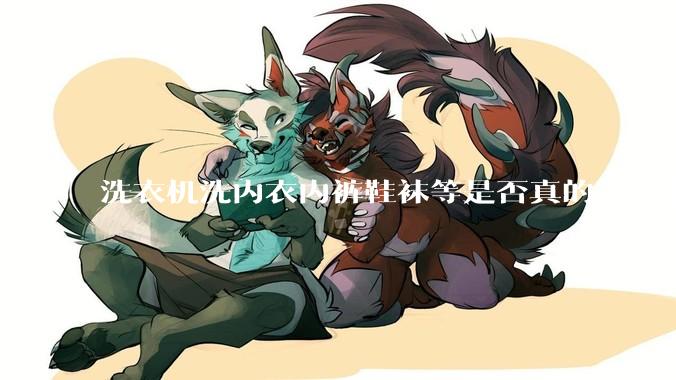 洗衣机洗内衣内裤鞋袜等是否真的不卫生？
