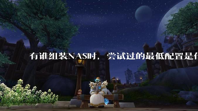 有谁组装NAS时，尝试过的最低配置是什么？