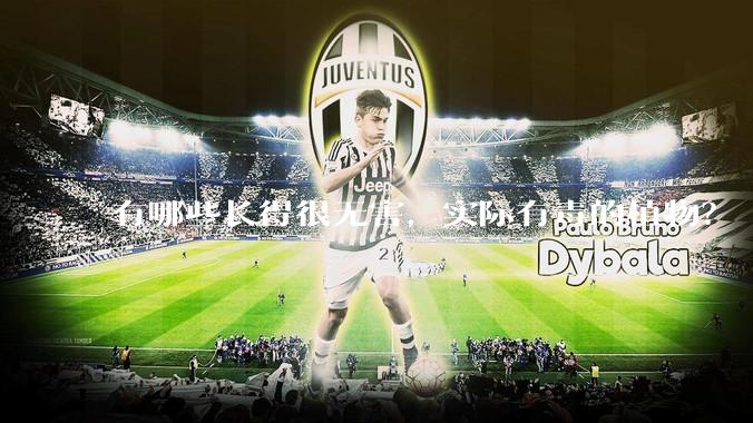 有哪些长得很无害，实际有毒的植物？