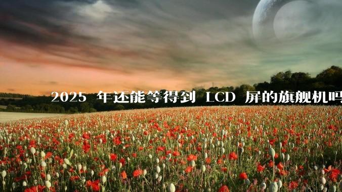 2025 年还能等得到 LCD 屏的旗舰机吗？