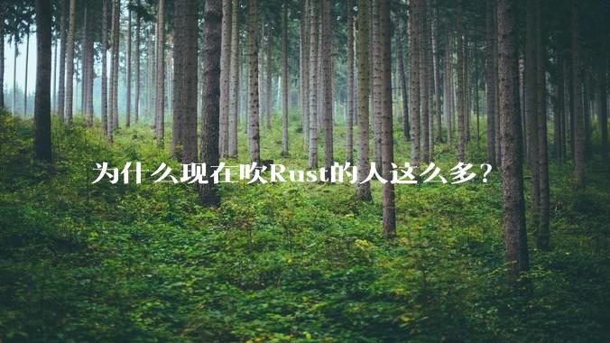 为什么现在吹Rust的人这么多？