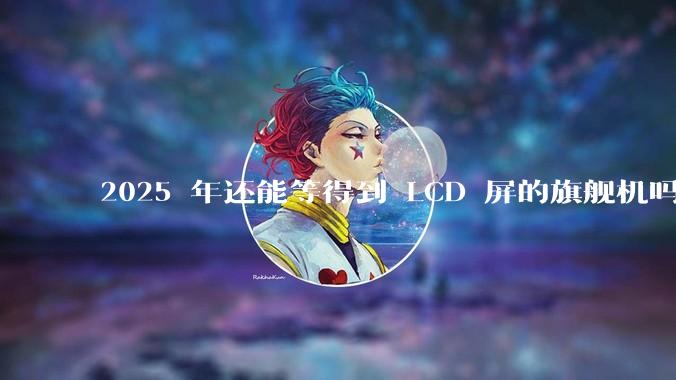 2025 年还能等得到 LCD 屏的旗舰机吗？