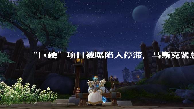 “巨硬”项目被曝陷入停滞，马斯克紧急宣布特斯拉与xAI将联合开发该项目_初创公司_Grok_系统