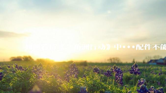 如何看待《三角洲行动》中***配件不能赛保险这一行为？