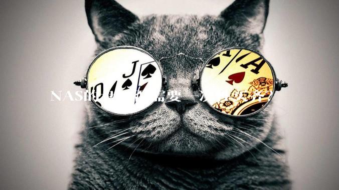 NAS的盘是否需要一次性买齐？