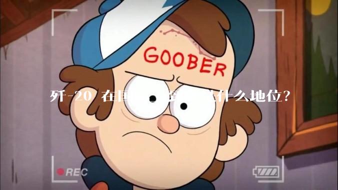 歼-20 在国际上到底是什么地位？