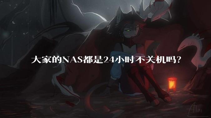 大家的NAS都是24小时不关机吗？