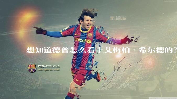 想知道德普怎么看上艾梅柏·希尔德的？