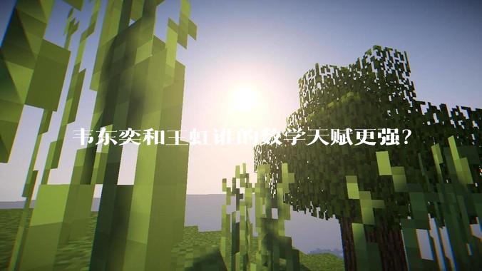 韦东奕和王虹谁的数学天赋更强？