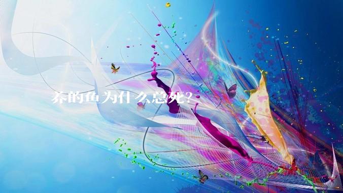 养的鱼为什么总死？