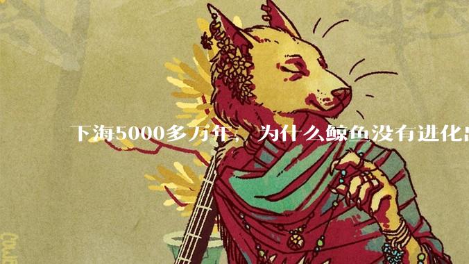 下海5000多万年，为什么鲸鱼没有进化出鳃？