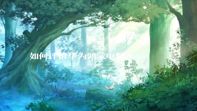 如何评价华为鸿蒙电脑？