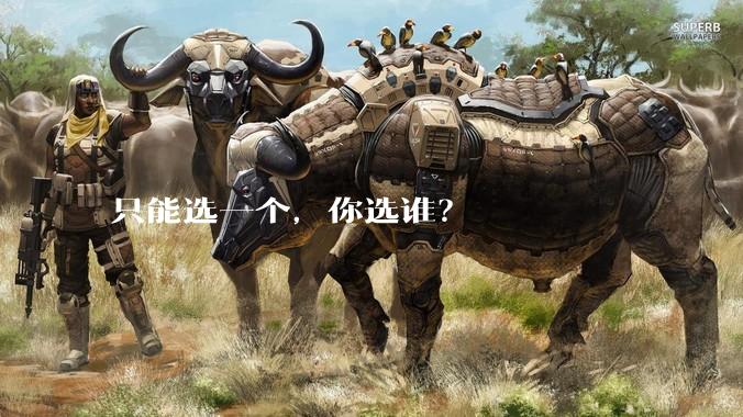 只能选一个，你选谁？
