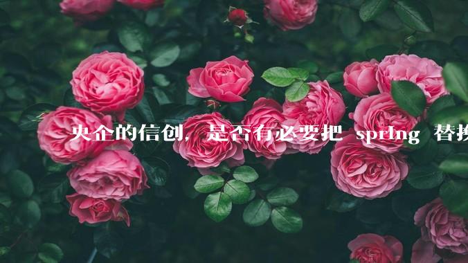 央企的信创，是否有必要把 spring 替换成国产的 solon ？