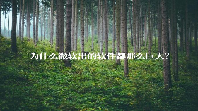 为什么微软出的软件都那么巨大？