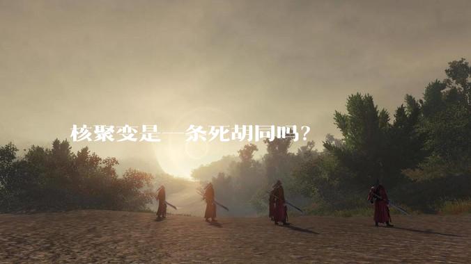 核聚变是一条死胡同吗？